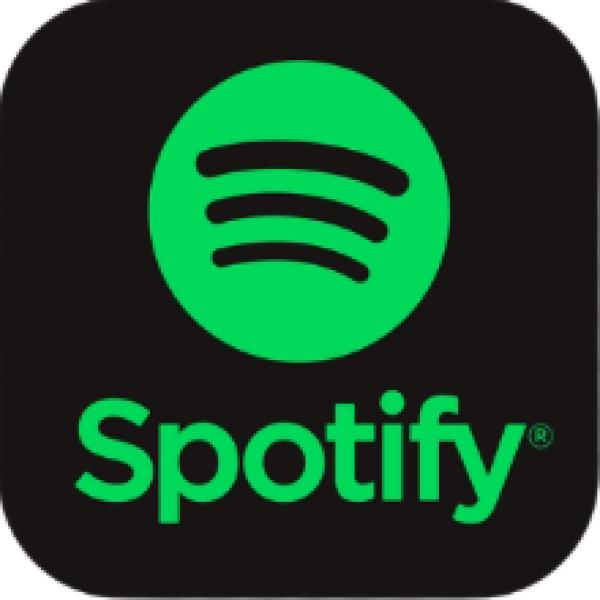 Gian hàng Tài Khoản Spotify Premium – Tài Khoản Cấp Sẵn giá hợp lí nhất thị trường - P2MMO